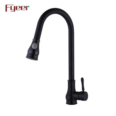 Fyeer Black Kitchen Sink Faucet with Pull Out Spray